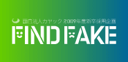 2009年度新卒採用コンテンツ　「FIND FAKE」